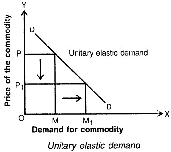 ELASTICITY OF DEMAND diagram for SS2 Economics